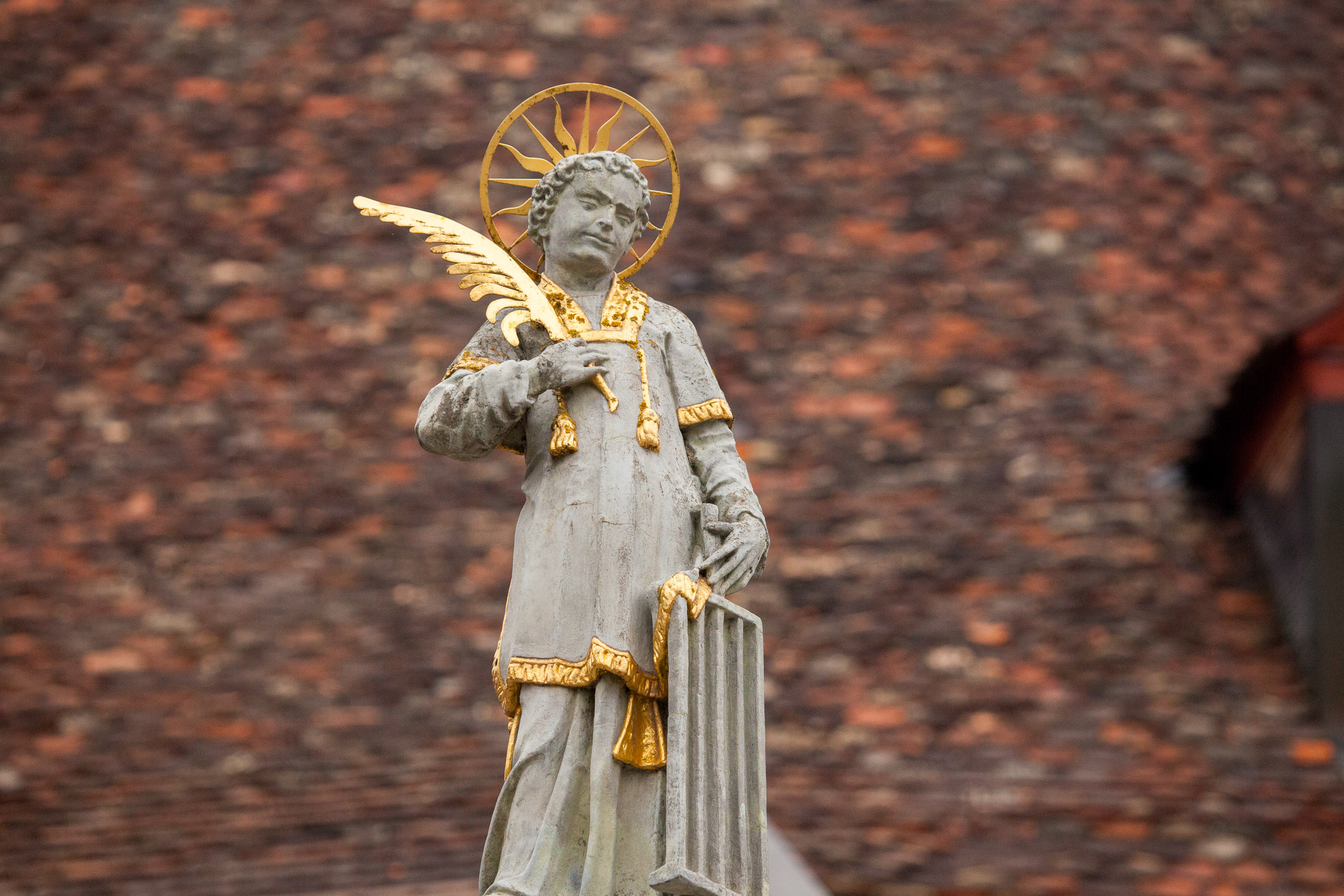 20110313162038 IMG 7379